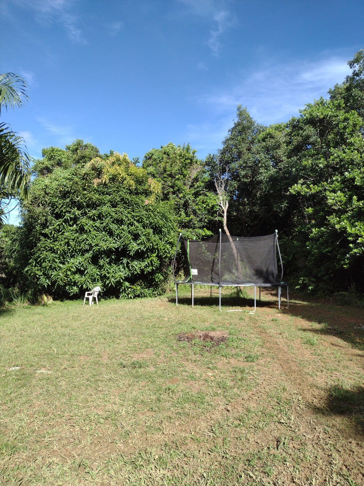 It Blooms Guest Apartment