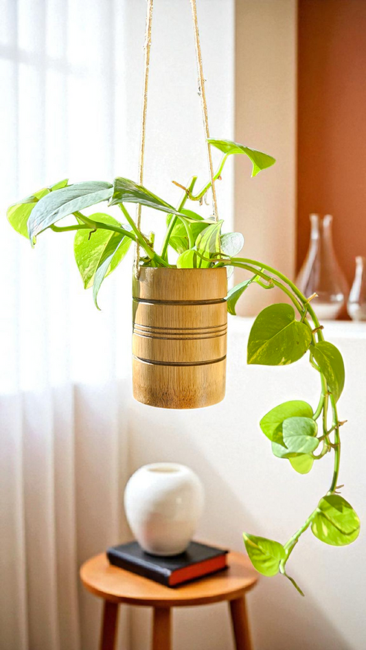 Handmade Bamboo Hanging Planter with Live Golden Pothos Plant - Natural Indoor Hanging Basket for Home Decor - Sustainable Boho Plant Hanger
